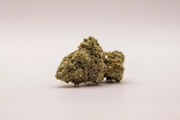 Lemon Haze blüten - 12% THCA-Gehalt