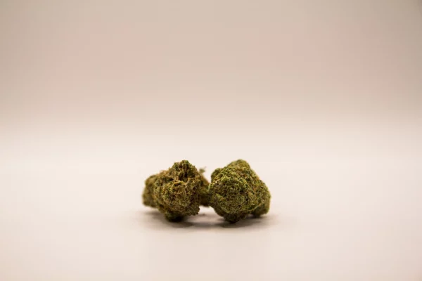 Cali weed kit 10g