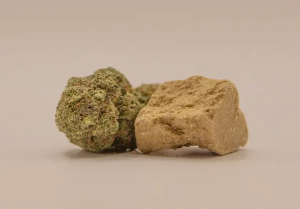 THCA - Lemon Haze cannabisblüten und Drysift Hash